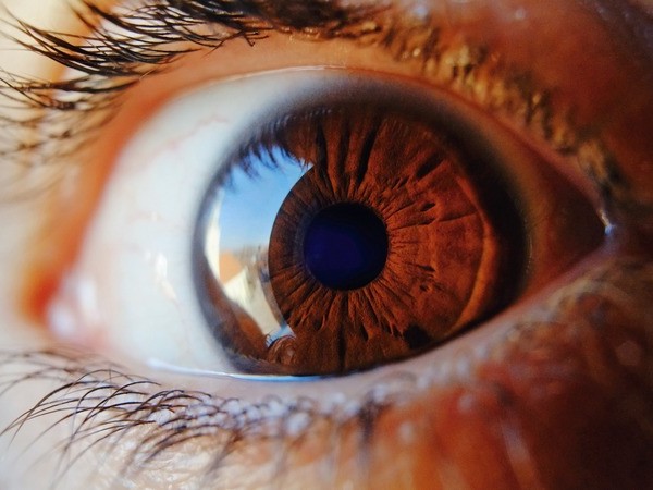 Diagnostika z dúhovky oka
